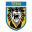 Nanjing Tehu Football Club