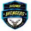 Logo of Kashmir Avenger