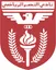 Logo of Al Naser SC