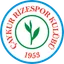 Picture for Caykur Rizespor U19