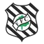 Picture for Figueirense SC (Youth)