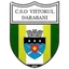 Viitorul Darabani