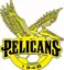 Logo of Pelicans SC