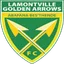 Picture for Golden Arrows Reserves
