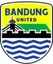 Logo of Bandung United