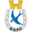Logo of Dungannon Swifts
