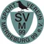 Picture for SV 1899 Merseburg