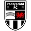 Logo of Pontypridd