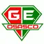 Logo of Gremio Osasco Youth