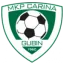 Picture for LKS Goczalkowice Zdroj