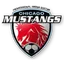 Chicago Mustangs (w)