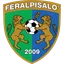 FeralpiSalo U19