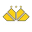 Logo of Criciuma SC (Youth)