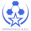 Logo of Springfield FC