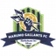 Marumo Gallants FC