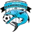 Picture for Antigua Barracuda FC
