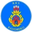 Logo of RKS Radomsko