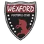 Picture for Wexford Youths U19