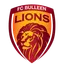 Picture for FC Bulleen Lions U20