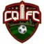 Picture for Chongqing FC（2011-2013）
