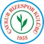 Logo of Caykur Rizespor
