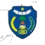 Logo of PSKN Kefemenanu