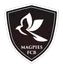 Brunos Magpie