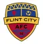 Logo of Flint City AFC (W)