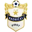 Logo of Radnicki Pirot