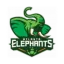 Logo of Atlanta Elephants FC