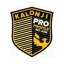 Logo of Kalonji Pro Profile