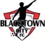 Logo of Blacktown City Demons