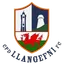Picture for Llangefni town