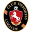 Logo of Deportes Limache