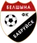 Logo of FC Belshina Babruisk