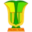 Logo of Atletico Palmaflor Vinto