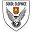 Logo of Sokol Slopnice