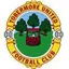 Logo of Tobermore United FC