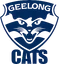 Logo of Geelong Sc