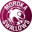 Moroka Swallows FC