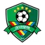 Logo of Shenzhen Bogang FC
