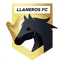Logo of Llaneros (w)