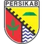 Logo of Persikab Bandung