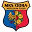 Picture for Odra Wodzislaw Slaski
