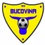 Bucovina Radauti