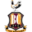 Bradford City (w)
