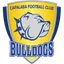 Logo of Capalaba Bulldogs
