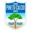 Logo of Asd Pineto Calcio