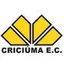 Logo of Criciuma U17