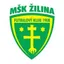Logo of MSK Zilina B